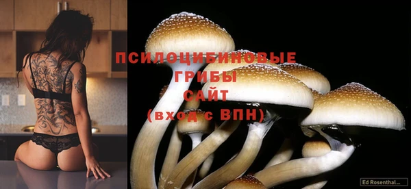 бутират Михайловск