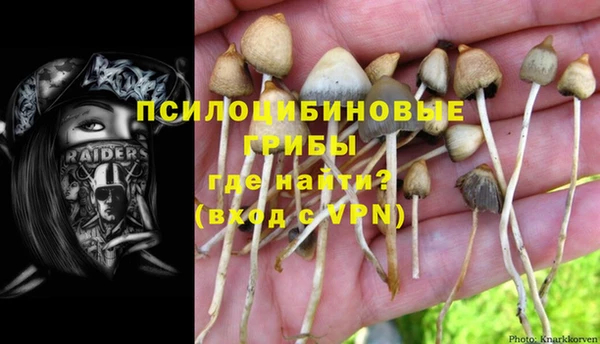 2c-b Михайлов