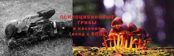 2c-b Михайлов