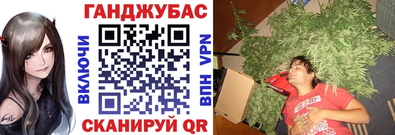 Купить где  Ивангород  Канабис SATIVA & INDICA 